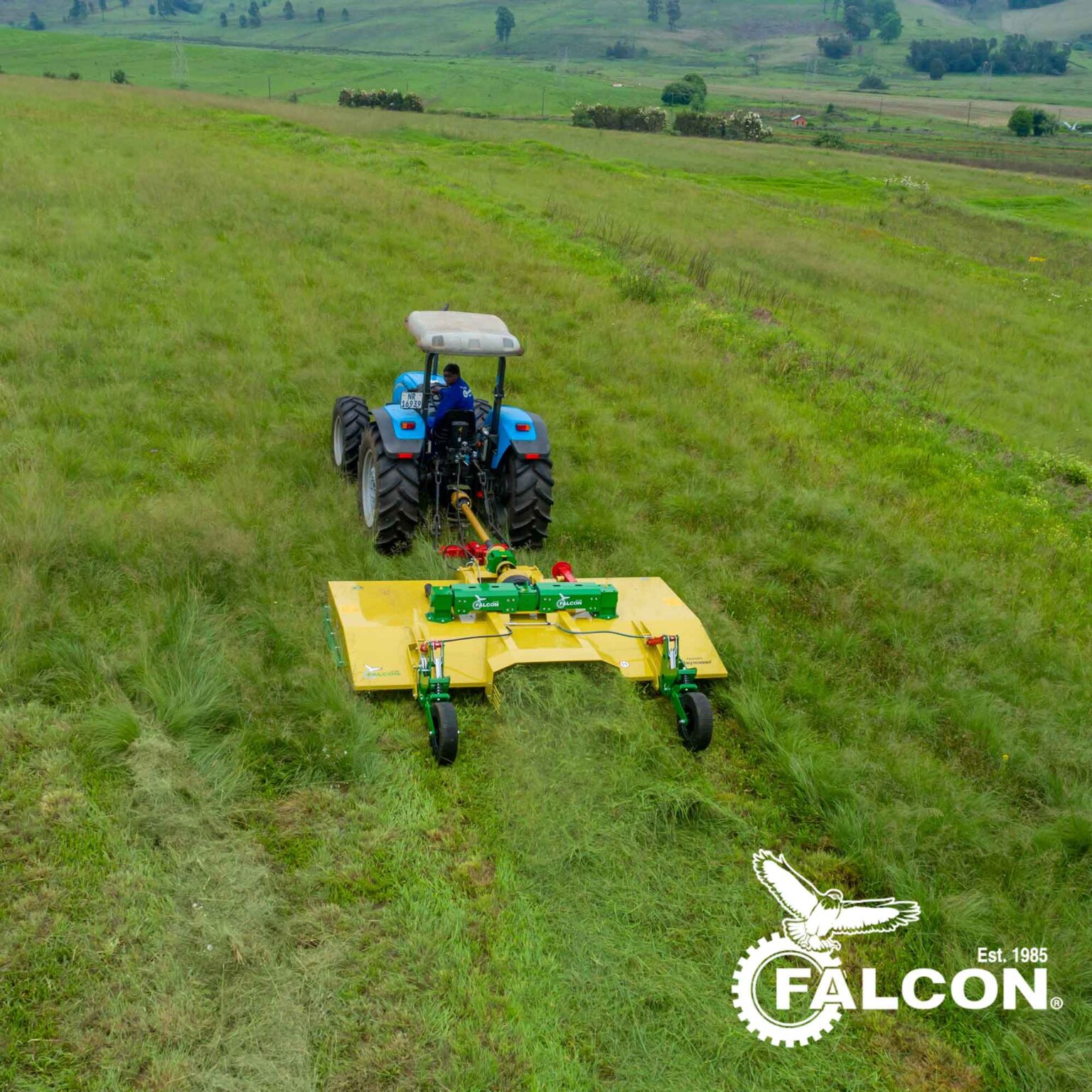 falcon haymakers large in Uganda
